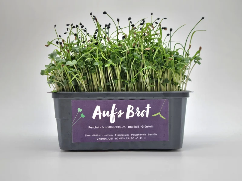 Bio Auf's Brot