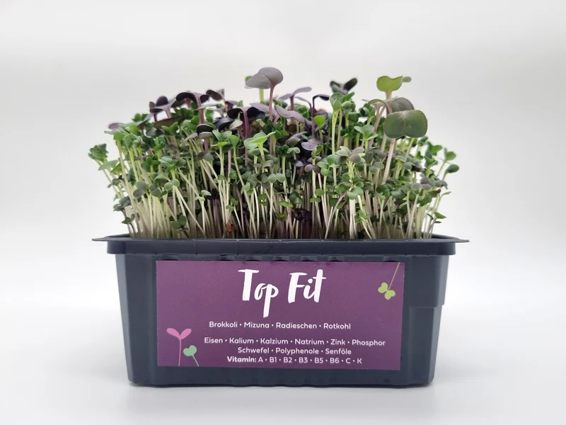 Bio Top Fit Mix