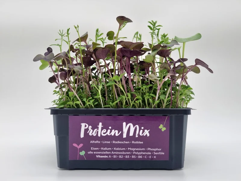 Bio Protein Mix