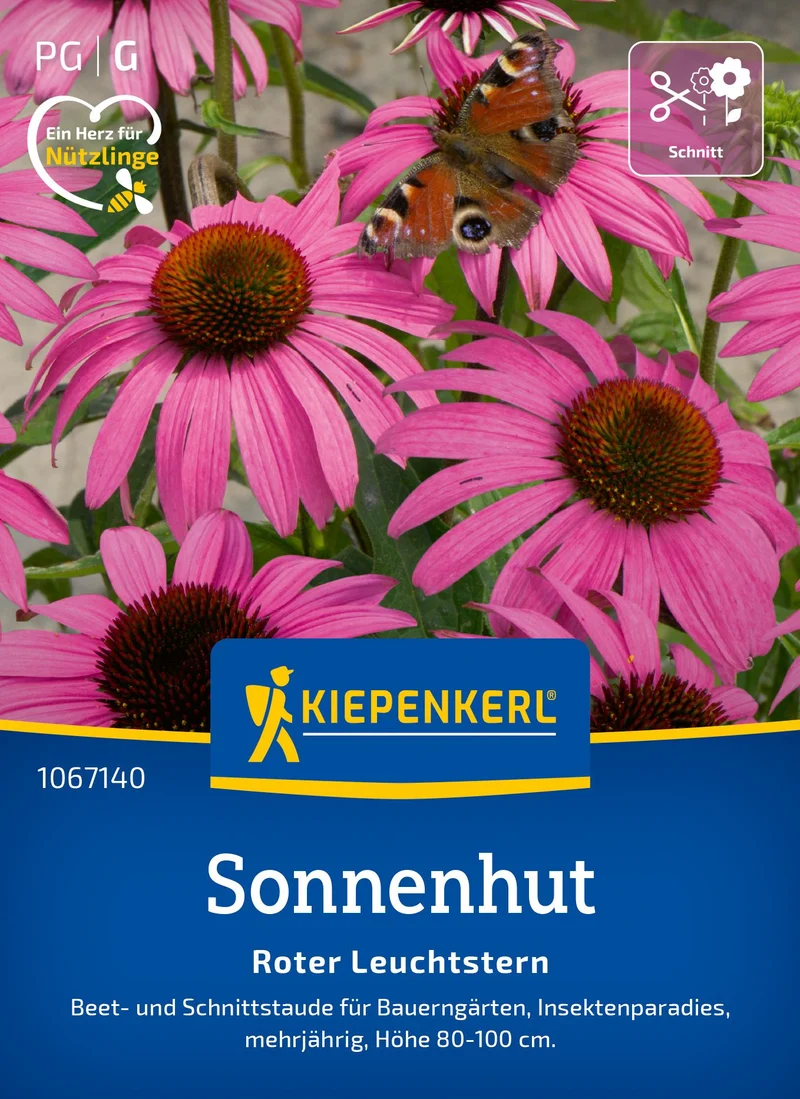 Sonnenhutsamen Roter Leuchtstern