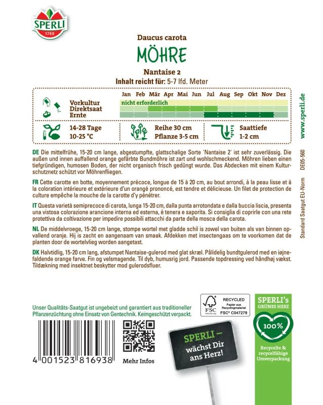 Möhre Nantaise 2