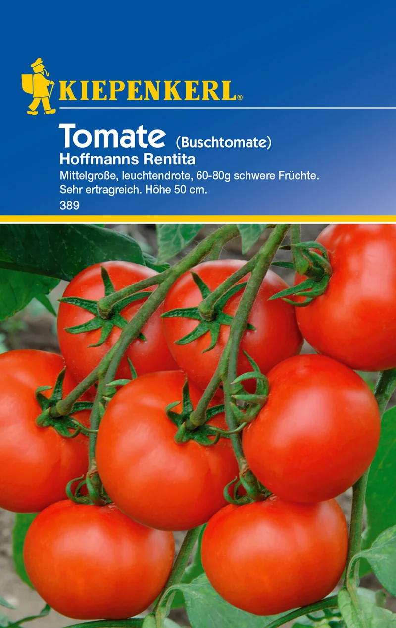 Busch-Tomatensamen Hoffmanns Rentita