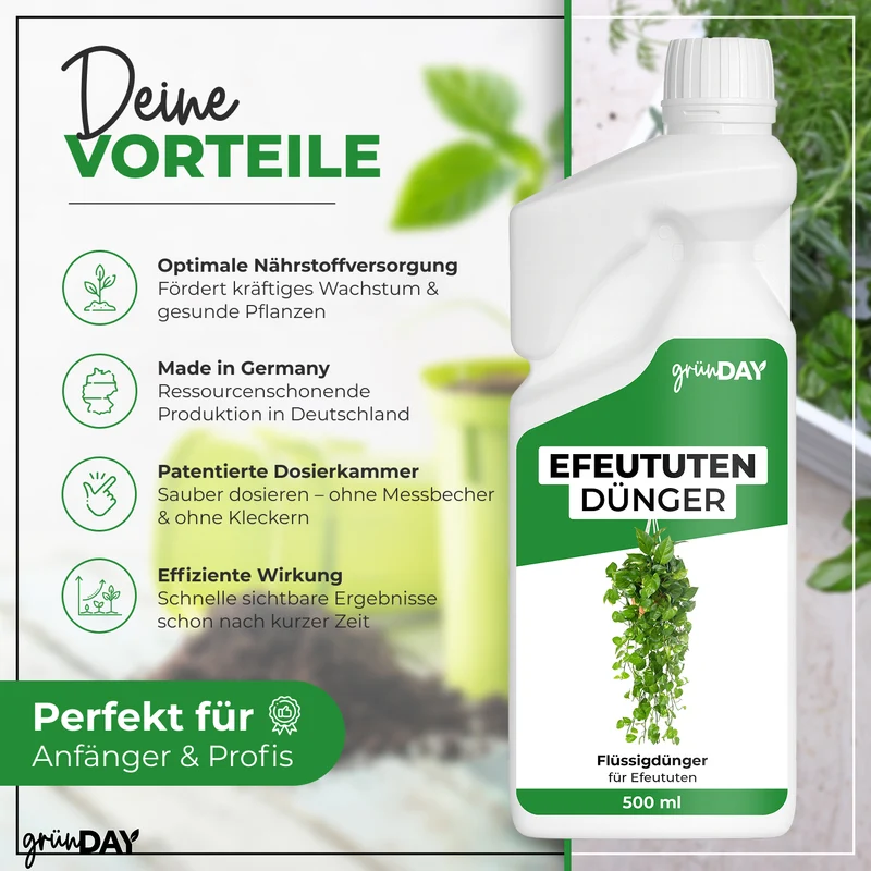 Efeututen-Flüssigdünger 500 ml