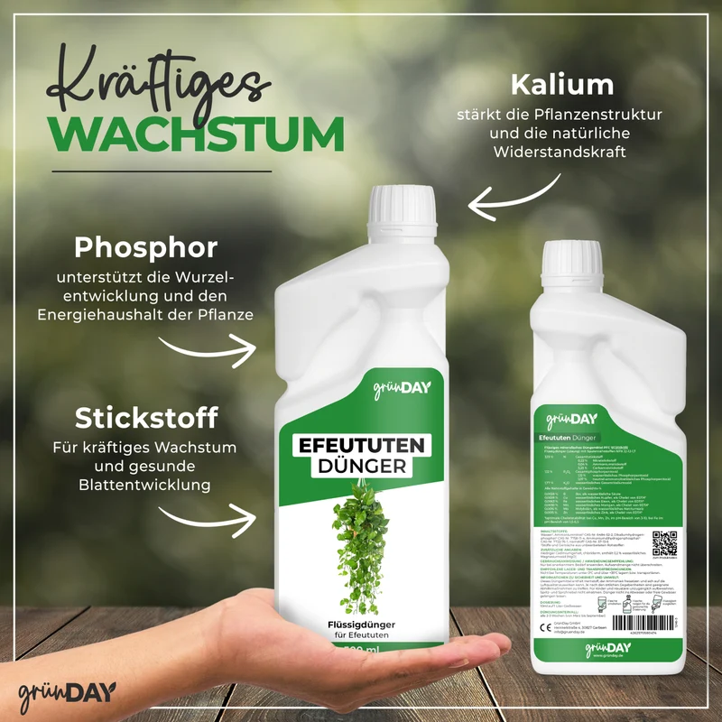 Efeututen-Flüssigdünger 500 ml