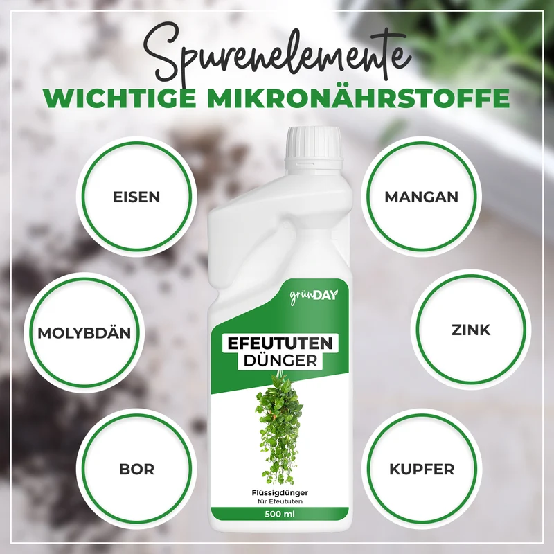 Efeututen-Flüssigdünger 500 ml