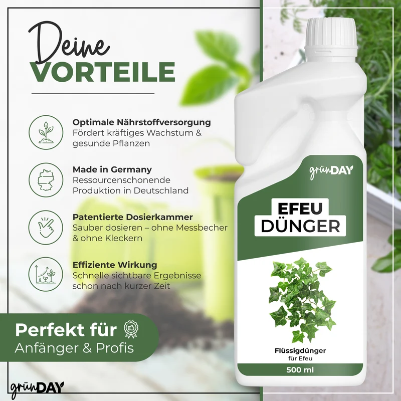 Efeu-Flüssigdünger 500 ml