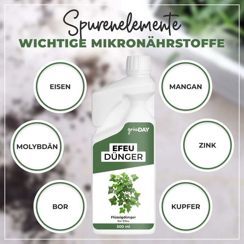 Efeu-Flüssigdünger 500 ml
