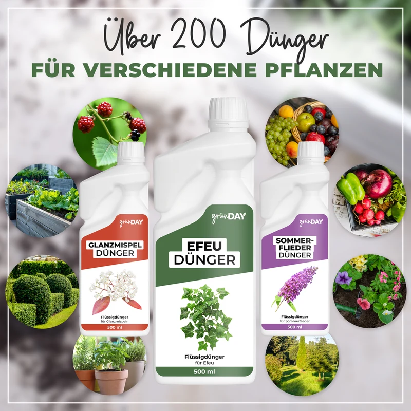 Efeu-Flüssigdünger 500 ml