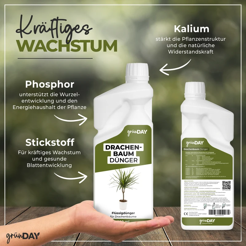 Drachenbaum-Flüssigdünger 500 ml