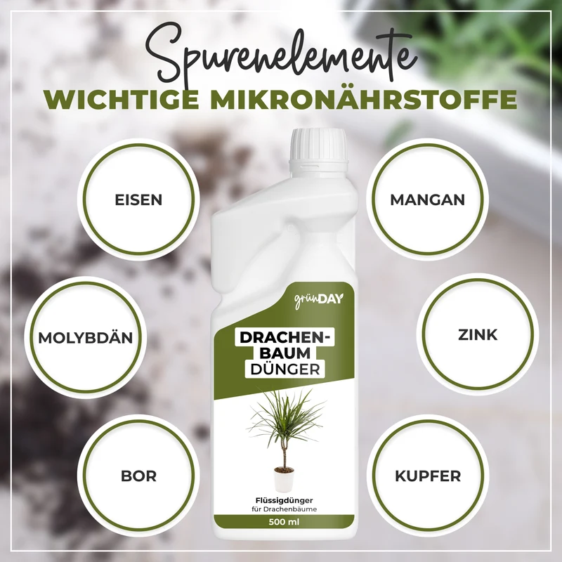 Drachenbaum-Flüssigdünger 500 ml