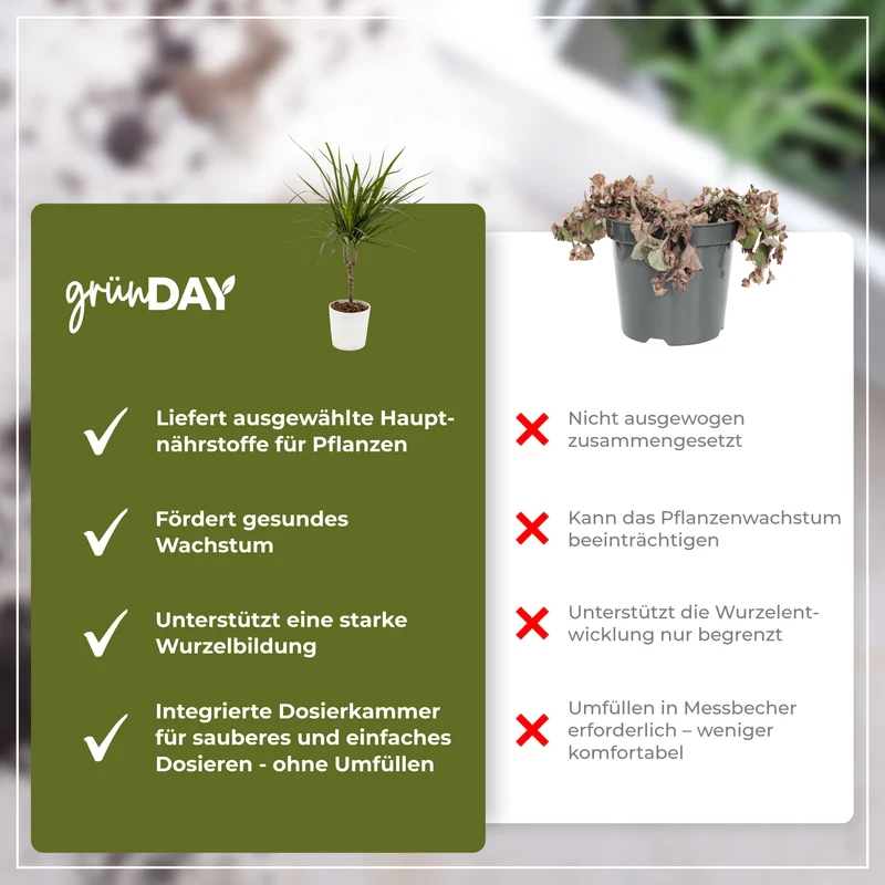 Drachenbaum-Flüssigdünger 500 ml