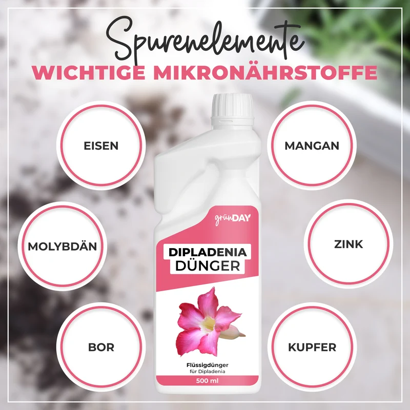 Dipladenia-Flüssigdünger 500 ml