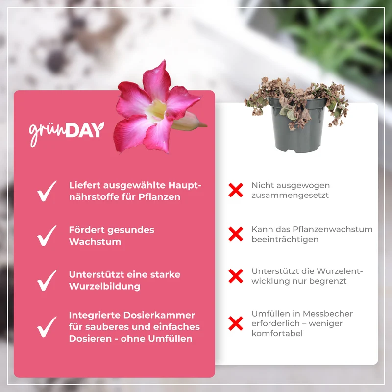 Dipladenia-Flüssigdünger 500 ml