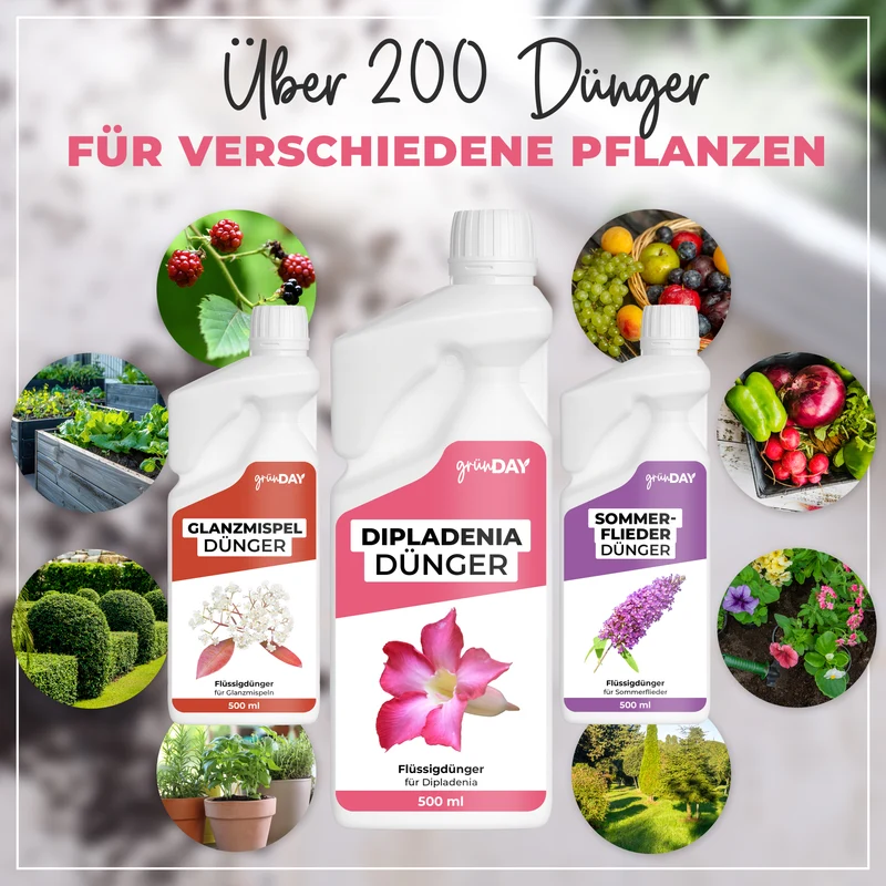 Dipladenia-Flüssigdünger 500 ml