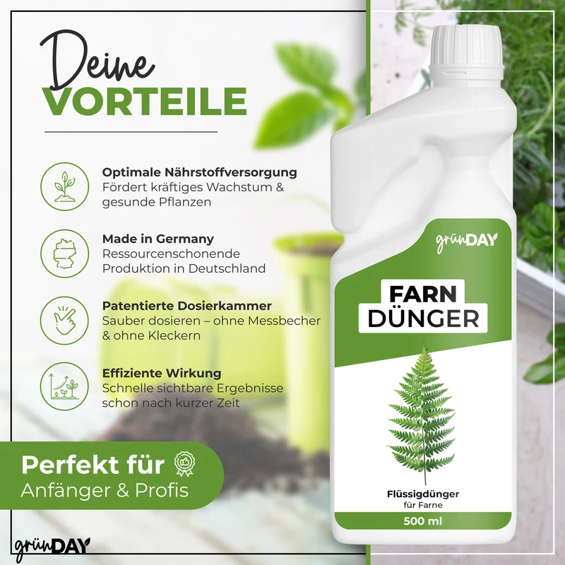 Farn-Flüssigdünger 500 ml