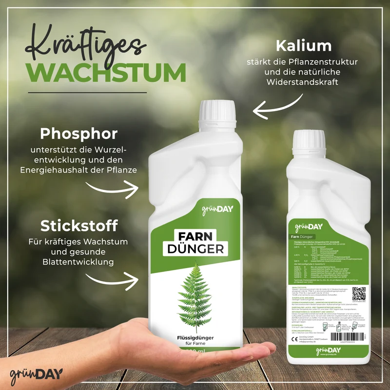 Farn-Flüssigdünger 500 ml