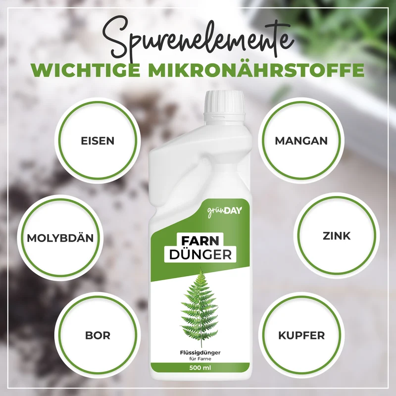 Farn-Flüssigdünger 500 ml