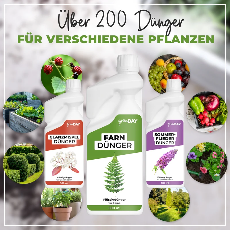 Farn-Flüssigdünger 500 ml