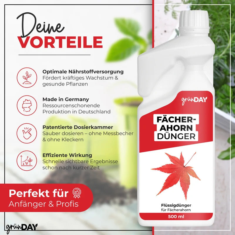 Fächerahorn-Flüssigdünger 500 ml