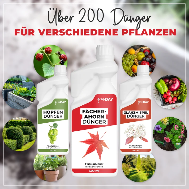 Fächerahorn-Flüssigdünger 500 ml