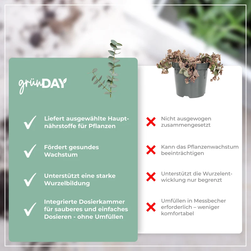 Eukalyptus-Flüssigdünger 500 ml