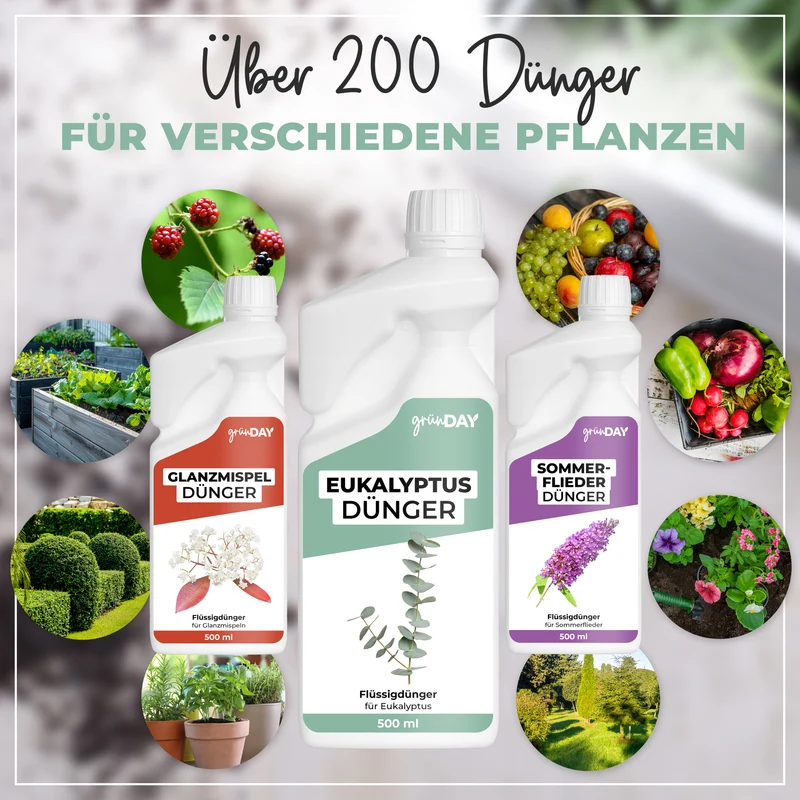 Eukalyptus-Flüssigdünger 500 ml