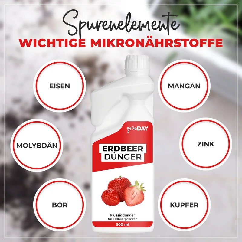 Erdbeer-Flüssigdünger 500 ml