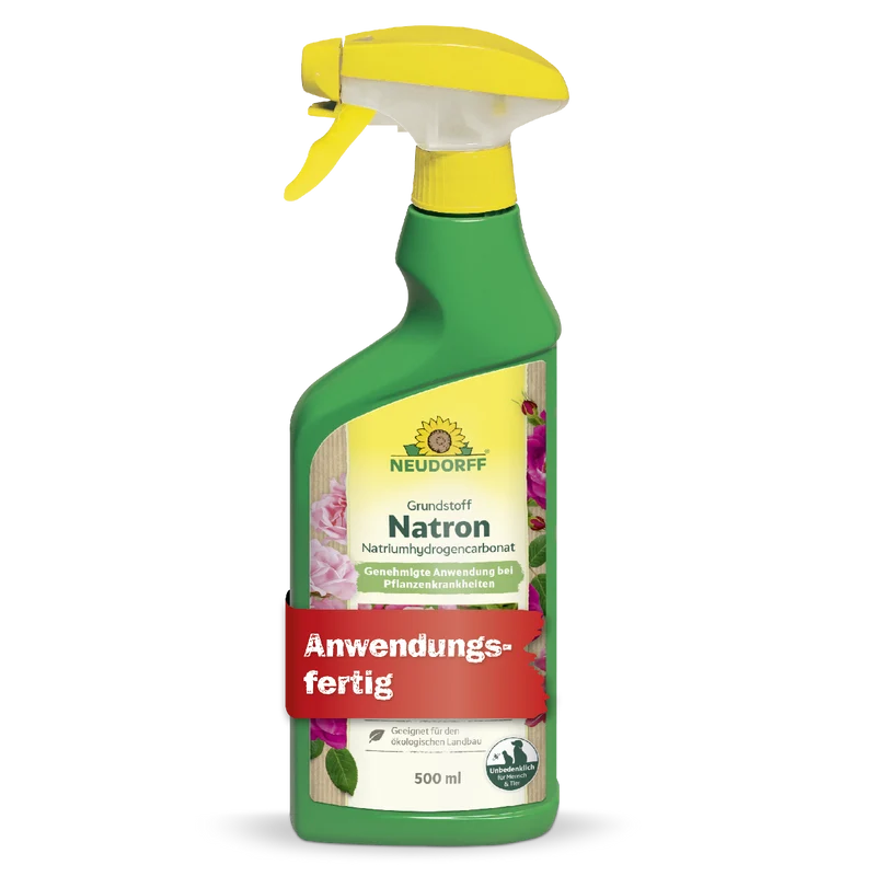 Grundstoff Natron 500ml