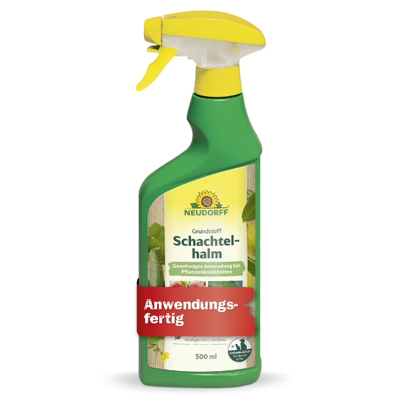 Grundstoff Schachtelhalm