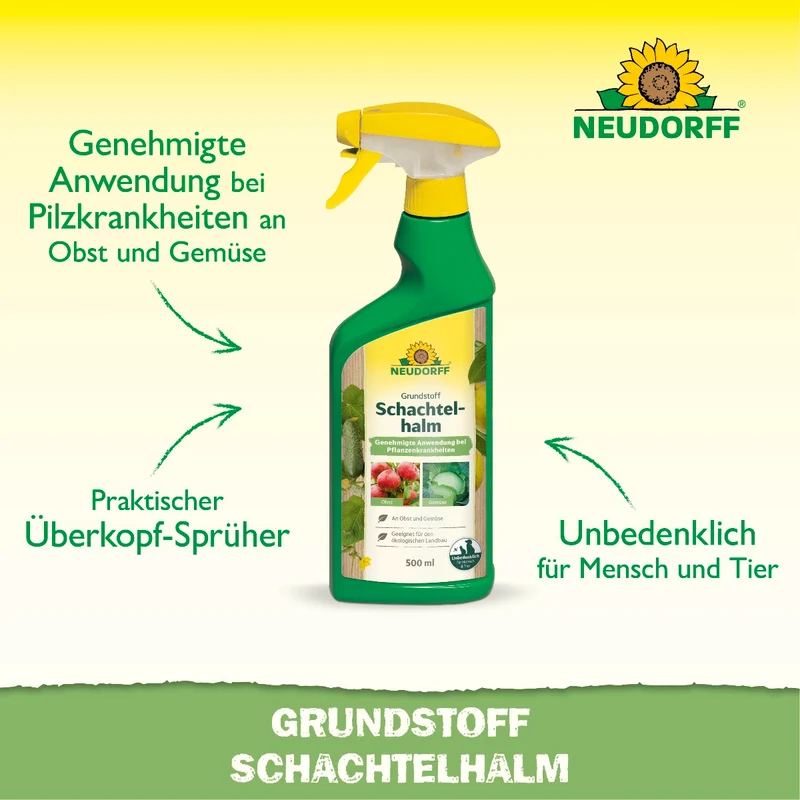 Grundstoff Schachtelhalm