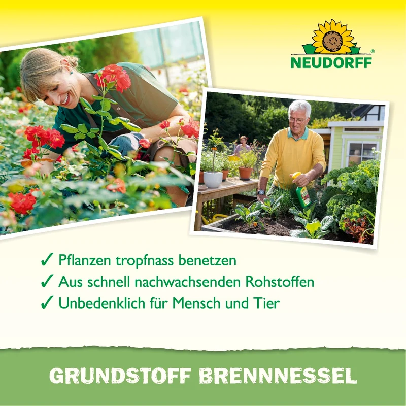 Grundstoff Brennnessel