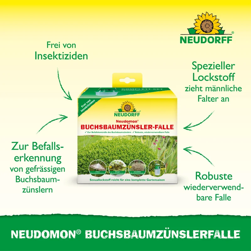 Neudomon BuchsbaumzünslerFalle