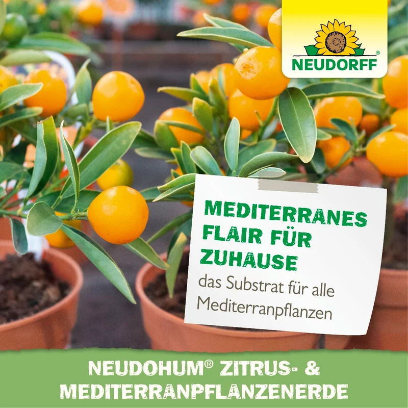 NeudoHum Zitrus- & MediterranpflanzenErde