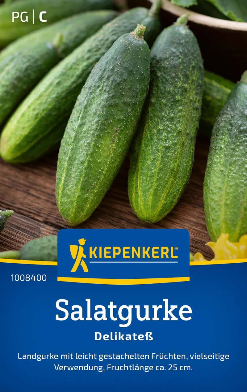 Salatgurkensamen Delikateß