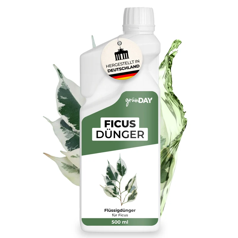 Ficus-Flüssigdünger 500 ml