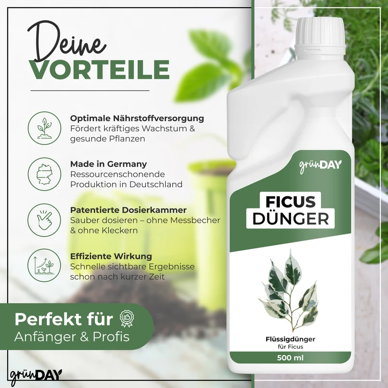 Ficus-Flüssigdünger 500 ml