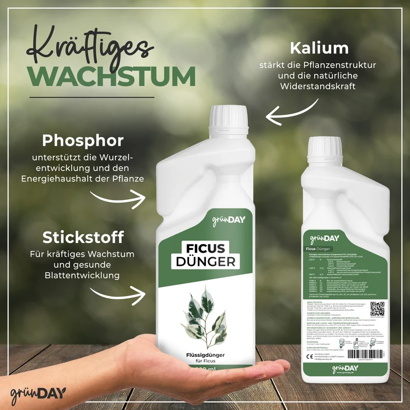 Ficus-Flüssigdünger 500 ml