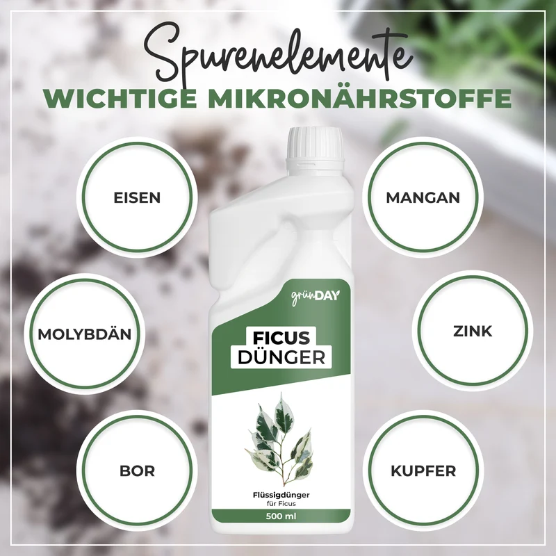 Ficus-Flüssigdünger 500 ml