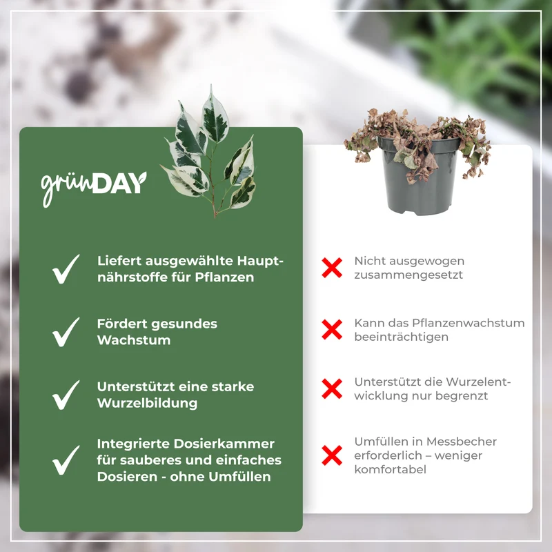 Ficus-Flüssigdünger 500 ml