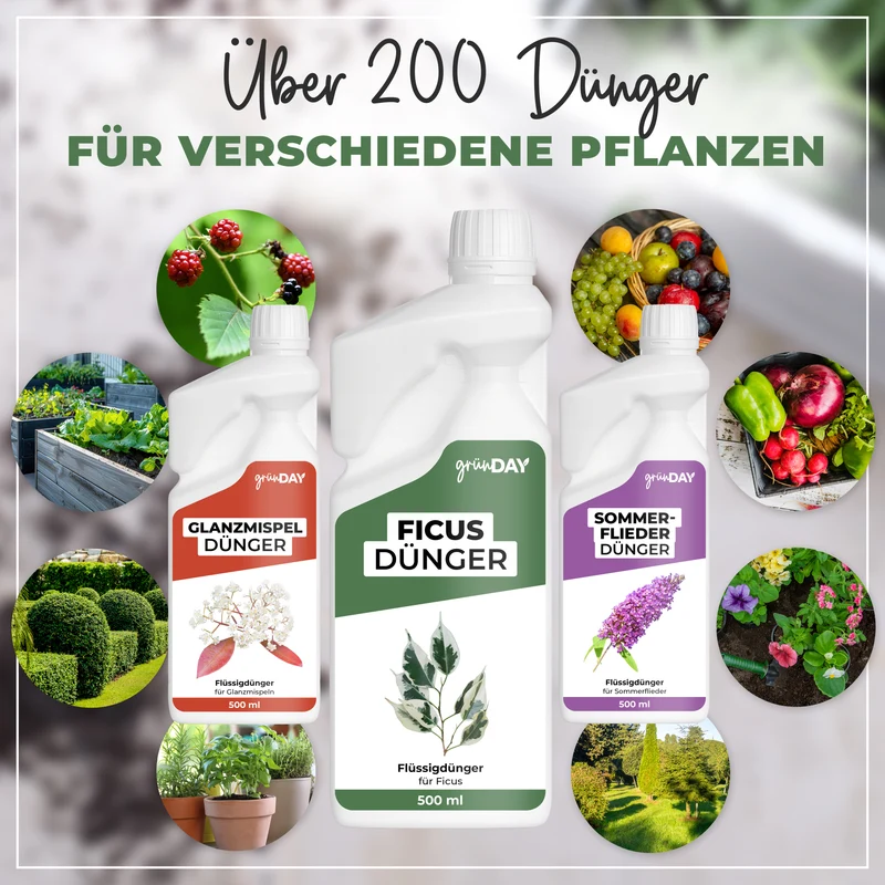Ficus-Flüssigdünger 500 ml