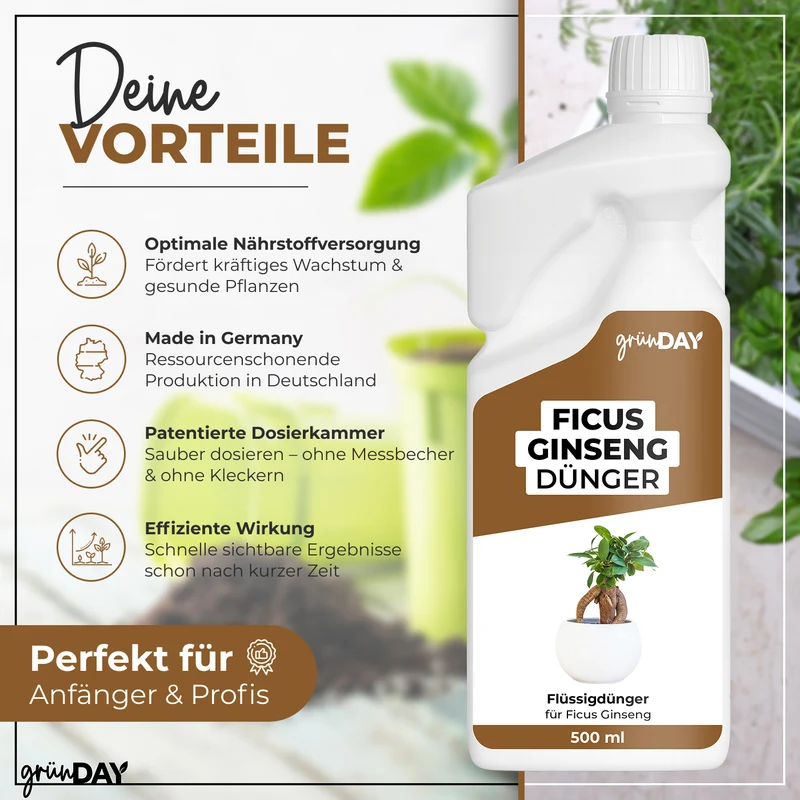 Ficus Ginseng-Flüssigdünger 500 ml