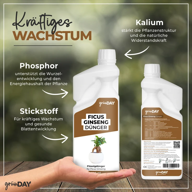 Ficus Ginseng-Flüssigdünger 500 ml