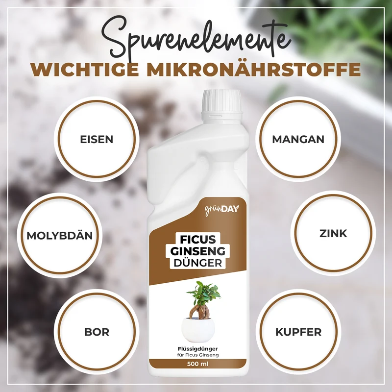 Ficus Ginseng-Flüssigdünger 500 ml