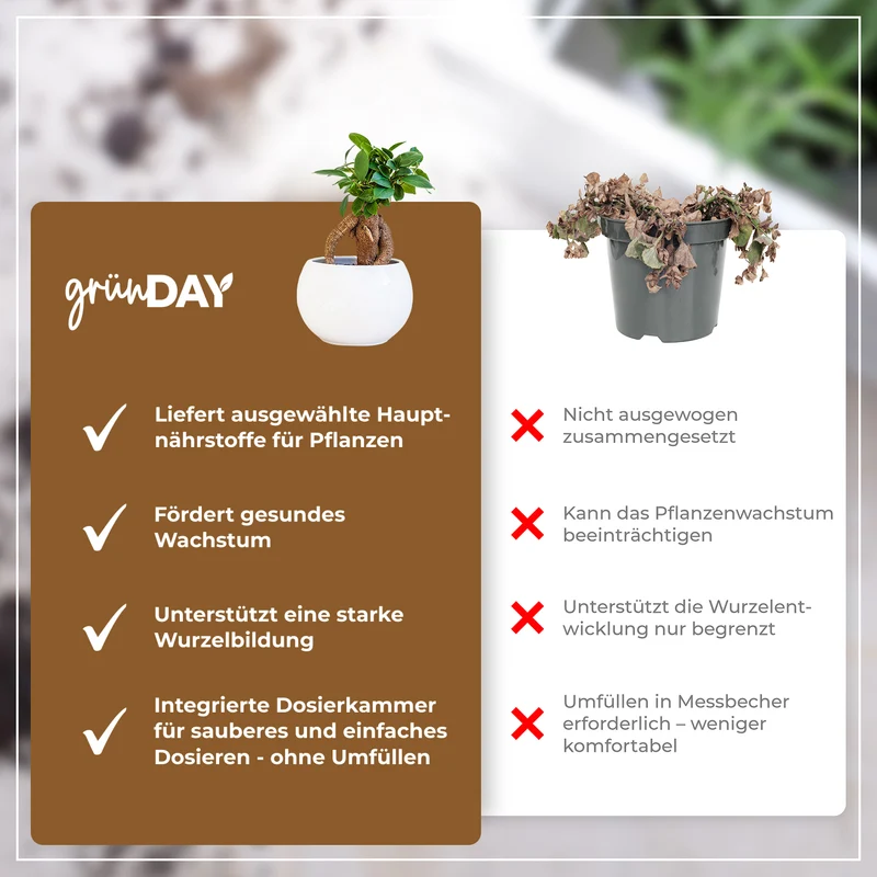 Ficus Ginseng-Flüssigdünger 500 ml