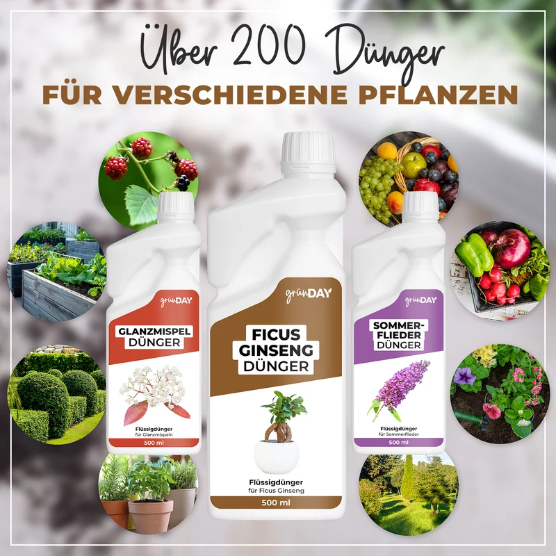 Ficus Ginseng-Flüssigdünger 500 ml