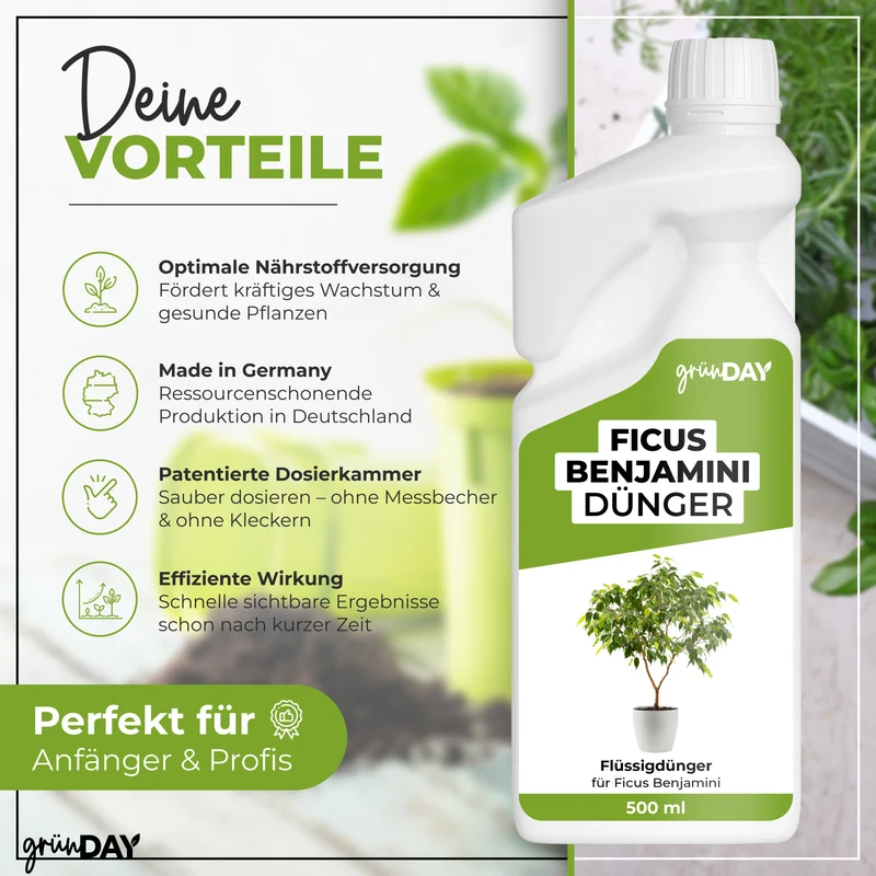 Ficus Benjamini-Flüssigdünger 500 ml