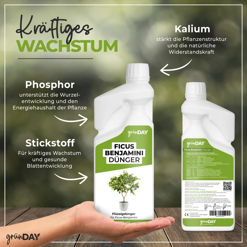 Ficus Benjamini-Flüssigdünger 500 ml