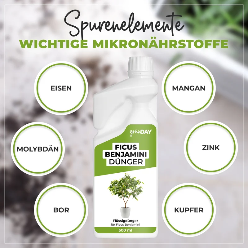 Ficus Benjamini-Flüssigdünger 500 ml