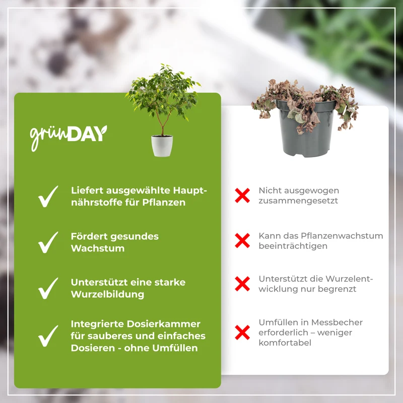 Ficus Benjamini-Flüssigdünger 500 ml
