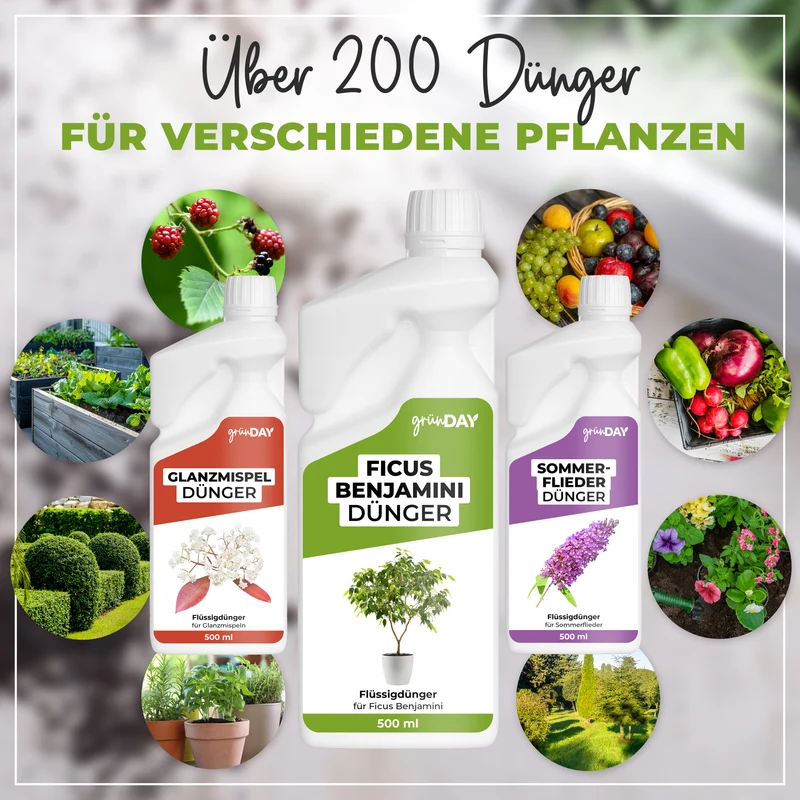 Ficus Benjamini-Flüssigdünger 500 ml